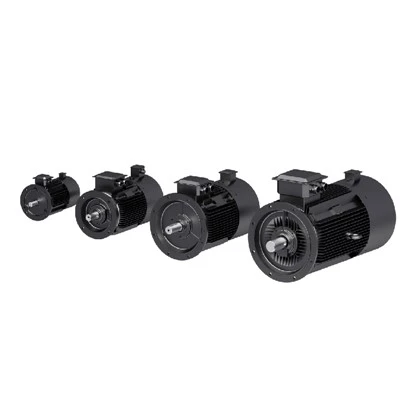 IE5 High Efficient Motor