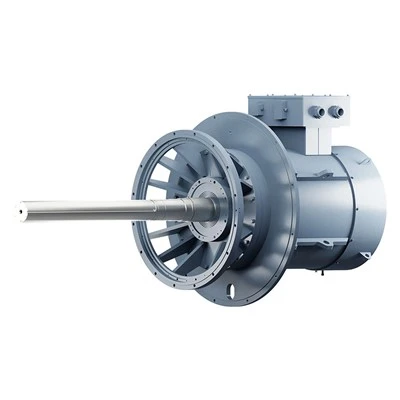 Low Speed Direct-drive Permanent Magnet Motor