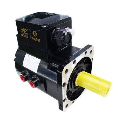 Permanent Magnet Servo Motor