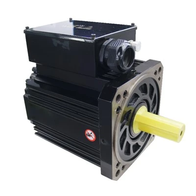 Industrial Servo Motor